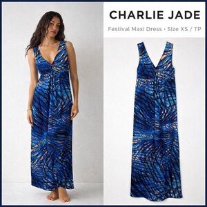 Charlie Jade Festival Maxi Dress Boho Resort V-Neck Empire Waist XS / TP